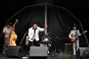 Mike Sanchez The Portionss -  Gloucester Blues Festival 2008 photos