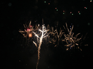 Fireworks at the park